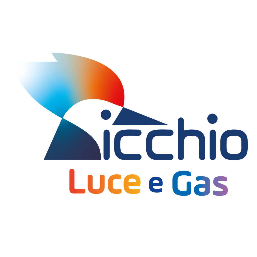 PICCHIO LUCE E GAS